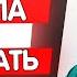 Пропала кошка что делать как искать и найти