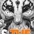 Ylvis The Fox Remix