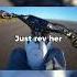 How To Wheelie Yz450f Crf250r Wheelie Dirtbike Howto