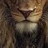 DJ Lion Desert Ritual Melodic Techno High Tech Minimal Journey