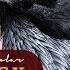 The Great And Terrible Raven Its Place In Mythology And Legend Documentary