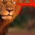 Lion Ringtone Hindi New Ringtone Song No Copyright Sms Ringtone