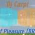 Dj Carpi The Power Of Pleasure BRAMD Remix Hands Up Free Release