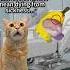 CAT MEMES Your Superpower Went Wrong Catmemes Relatable When You Have Superpower