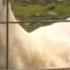 Taylor Swift Trouble Goat Version FULL SONG