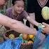 Harvesting Cucumbers End Of Season At The Farm Single Mother Orphaned Po