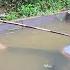 Single Mother S Desperate Plea What Happened To The Engineer