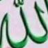 Rahma Beautiful Nasheed Talib Al Habib