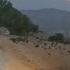 Mr Qorboun S Endless Problems With A New House And Handing Over Thehouseand Thehouse To Jahanbakhsh