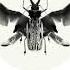 Antinomy Genetrick Invisible Waves