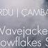 Wavejackers Melodic Techno Live Set Çambaşı Ordu