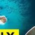 Lady Gaga Honors The Philippines And It S Going Viral For All The Right Reasons