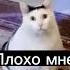 Муж каждый раз после пьянки