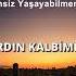 Ahmet Kaya Sensiz Yaşayabilmerem Sözleri 4K