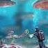 Subnautica Abandon Ship 8D