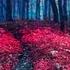 Chillstep Selection 24