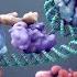 CRISPR Gene Editing And Beyond