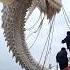 From Tiny Creatures To Sea Monsters Animalgrowth Cute Seamonster Viral