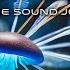 Medicine Sound Journey 4 44 Hours Of Transformational Music Visuals