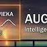 Intelligency August Dj Dimixer Remix