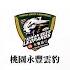 TPBL 桃園台啤永豐雲豹 Vs 新北中信特攻 全場賽事精華 20250308 TaoyuanTaiwanBeerLeopards Vs NewTaipeiCTBCDEA