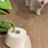 Quincy Vs Kermit The Frog