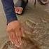 Fishing Beach Nature Travel Crab Music Lyrics Love Song Singer
