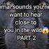 Animal Sounds You Never Want To Hear Close To You PART 2 Shorts Ytshorts Youtubeshorts