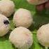 Rava Laddu Simplesweet Eveningsnacks Cooking Sweet Recipe Easy Sweet Food Cooking