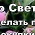 РОЗЫ СО СВЕТОФОРА Что делать после покупки