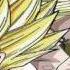 Dragon Ball Raging Blast Progression CD Single Coming Soon Open Progression HD720P2 0