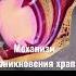 Механизм возникновения храпа храп терапия ночь люди жизнь жиза механизм дети медицина