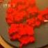 2 States Report Latest News Updates Telangana Andhra Pradesh 99tv