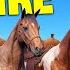 The Untold Power Of Horse Poop In Rust