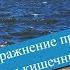 Кишечник и желудок болеть не будут после этого упражнения