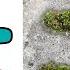 Symbol Lore In Nature Full Version All Parts