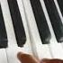 YALILI YALILA Song Ll BALTI YA LILI FEAT Ll HAMOUDA Ll ON PIANO BY MASTER JAINIL Ll