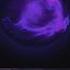 Килджо Shadowraze Chronosphere текст песни
