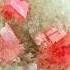 5 RARE MINERALS Batu Crystals Permata Emas Gemstone Natural Amazing Red