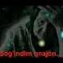 Sog Indim Onajon Tasirli She R She R