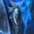 52 The Lake World Of Warcraft Wrath Of The Lich King Complete Soundtrack