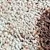 How To Remove BLOOD STAINS From Carpet