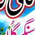 Kali Gaddi By Gulaab Latest Saraiki Punjabi Songs 2019 Gulab New Song SH Records HD