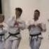 Moon Lee Tae Kwon Do Demonstration 15 September 2015