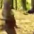 Bohy Baliya Nice Dance