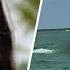 2 Charged After Teen Struck And Killed By Boat While Wakeboarding