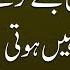 Do Gunah Aisay Hain Jinkay Karnay Say Tauba Qabol Nahi Hoti