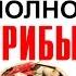 Сколько грибов в третьем бочонке полное видео