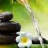 Relaxing Music Bamboo Water Fountain Meditation Music Sleep Music Piano Music Stress Relief Music