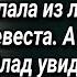 О чем не расскажет река Аудио рассказ